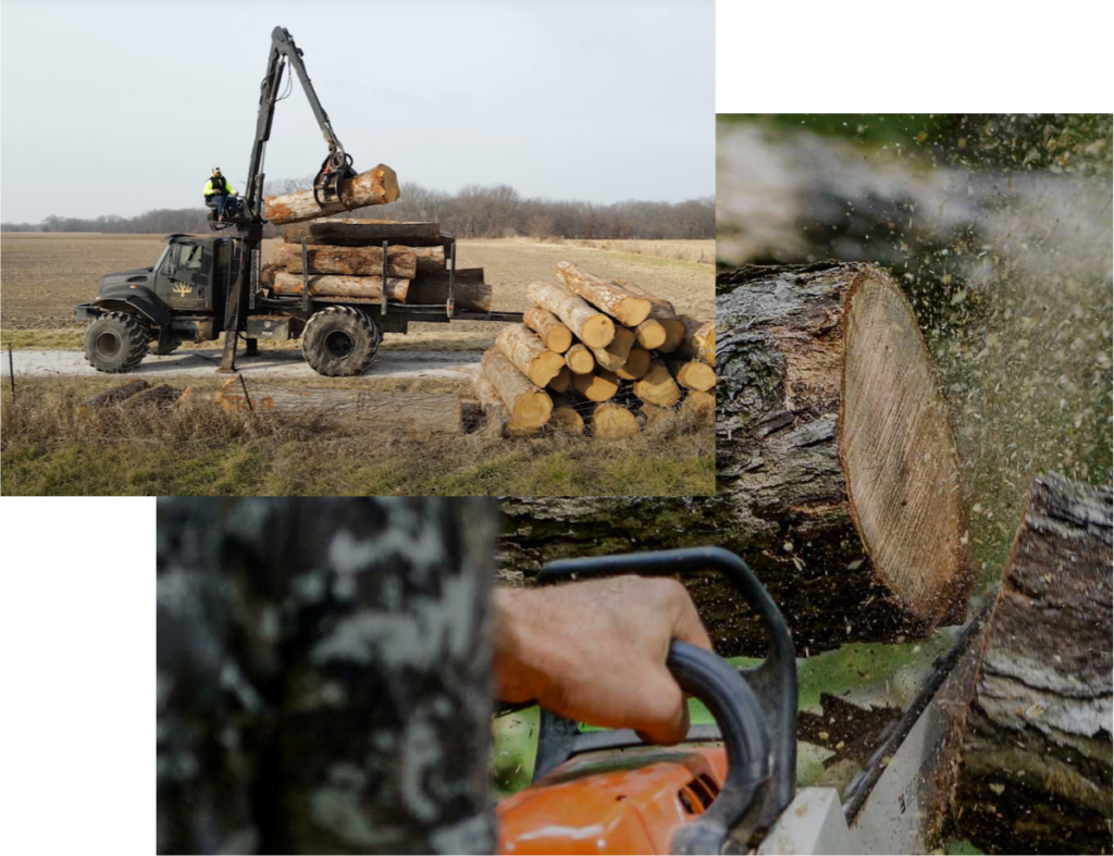 logging-home